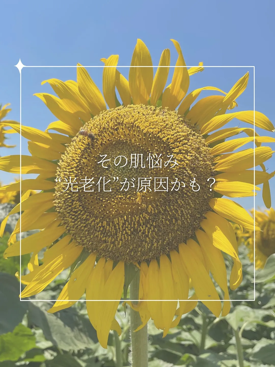 その肌悩み、もしかして“光老化”?